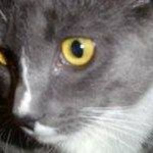 Meet your Posher, Karyn